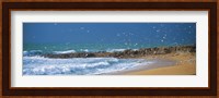 Waves breaking on the coast, Morbihan, Brittany, France Fine Art Print