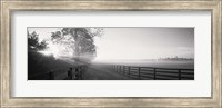 Ranch at dawn, Woodford County, Kentucky, USA Fine Art Print
