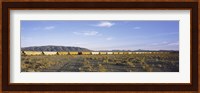 Freight train in a desert, Trona, San Bernardino County, California, USA Fine Art Print