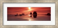 Beach Sunset, Olympic National Park, Washington State Fine Art Print