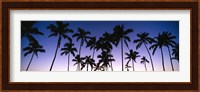 Silhouettes of palm trees at sunset Fine Art Print