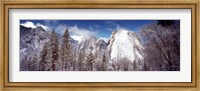Snowy trees with rocks in winter, Cathedral Rocks, Yosemite National Park, California, USA Fine Art Print