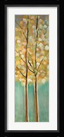 Shandelee Woods I Framed Print