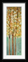 Shandelee Woods II Framed Print