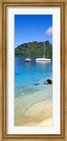 Sailboats in the ocean, Tahiti, Society Islands, French Polynesia (vertical) Fine Art Print