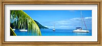 Sailboats in the ocean, Tahiti, Society Islands, French Polynesia (horizontal) Fine Art Print