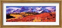 Forest in autumn with snow covered mountains in the background, Telluride, San Miguel County, Colorado, USA Fine Art Print