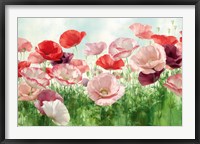 Poppies Pleasure Fine Art Print