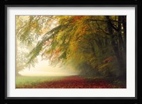 Your Beauty Silences Me Fine Art Print