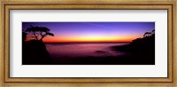 Silhouette of Lone Cypress Tree on a cliff, 17-Mile Drive, Pebble Beach, Carmel, Monterey County, California, USA Fine Art Print