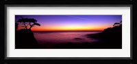Silhouette of Lone Cypress Tree on a cliff, 17-Mile Drive, Pebble Beach, Carmel, Monterey County, California, USA Framed Print