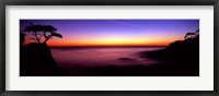 Silhouette of Lone Cypress Tree on a cliff, 17-Mile Drive, Pebble Beach, Carmel, Monterey County, California, USA Fine Art Print