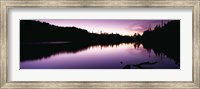 Reflection of trees in a lake, Mt Rainier National Park, Washington State Fine Art Print