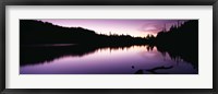 Reflection of trees in a lake, Mt Rainier National Park, Washington State Fine Art Print