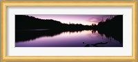 Reflection of trees in a lake, Mt Rainier National Park, Washington State Fine Art Print