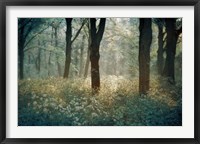 Foret de Tenom Fine Art Print
