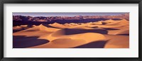 Orange Sand Dunes, Death Valley National Park, California, USA Fine Art Print