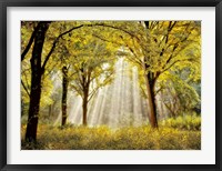 Dressed to Shine X Fine Art Print