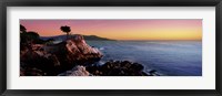 Silhouette of Lone Cypress Tree at a coast, 17-Mile Drive, Carmel, Monterey County, California, USA Fine Art Print