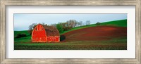 Red Barn in a Field at Sunset, Washington State, USA Fine Art Print