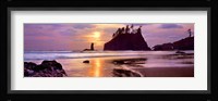 Sunset at Second Beach, Olympic National Park, Washington State Fine Art Print