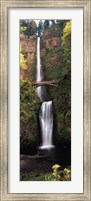 Waterfall in a forest, Multnomah Falls, Columbia River Gorge, Multnomah County, Oregon, USA Fine Art Print