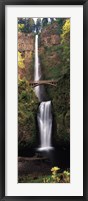 Waterfall in a forest, Multnomah Falls, Columbia River Gorge, Multnomah County, Oregon, USA Fine Art Print