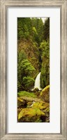 Waterfall in the Columbia River Gorge, Oregon, USA Fine Art Print
