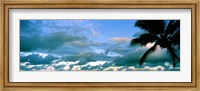 Palm tree on the beach, Hawaii, USA Fine Art Print