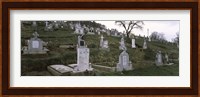 Tombstone in a cemetery, Saxon Church, Biertan, Transylvania, Mures County, Romania Fine Art Print