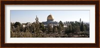 Trees with mosque in the background, Dome Of the Rock, Temple Mount, Jerusalem, Israel Fine Art Print