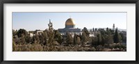 Trees with mosque in the background, Dome Of the Rock, Temple Mount, Jerusalem, Israel Fine Art Print