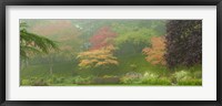 Colored Trees in Butchart Gardens, Vancouver Island, British Columbia, Canada Fine Art Print