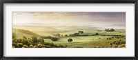 Trees in a field, Villa Belvedere, San Quirico d'Orcia, Val d'Orcia, Siena Province, Tuscany, Italy Fine Art Print