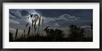 Stork with a baby flying over moon Fine Art Print