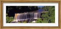 Waterfall in a forest, Tahquamenon Falls, Tahquamenon River, Michigan, USA Fine Art Print