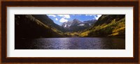 Trees in a forest, Snowmass Wilderness Area, Maroon Bells, Colorado, USA Fine Art Print