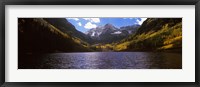 Trees in a forest, Snowmass Wilderness Area, Maroon Bells, Colorado, USA Fine Art Print
