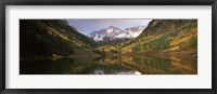 Reflection of trees on water, Aspen, Pitkin County, Colorado, USA Fine Art Print