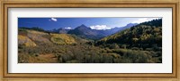Trees on mountains, State Highway 62, Ridgway, Colorado, USA Fine Art Print