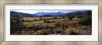 State Highway 62, Ridgway, Colorado Fine Art Print