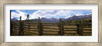 Fence in a field, State Highway 62, Ridgway, Colorado Fine Art Print