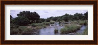 Sabie River, Kruger National Park, South Africa Fine Art Print