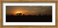 Sunset over the savannah plains, Kruger National Park, South Africa Fine Art Print
