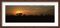 Sunset over the savannah plains, Kruger National Park, South Africa Fine Art Print