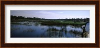 Edge of the Okavango Delta, Moremi Wildlife Reserve, Botswana Fine Art Print