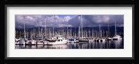 Boats at a harbor, Santa Barbara Harbor, Santa Barbara, California, USA Fine Art Print