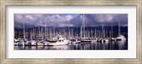 Boats at a harbor, Santa Barbara Harbor, Santa Barbara, California, USA Fine Art Print