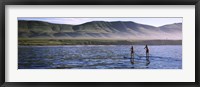 Tourists paddleboarding in the pacific ocean, Santa Cruz Island, Santa Barbara County, California Fine Art Print