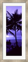 Palm trees on the coast, Colombia (purple) Fine Art Print